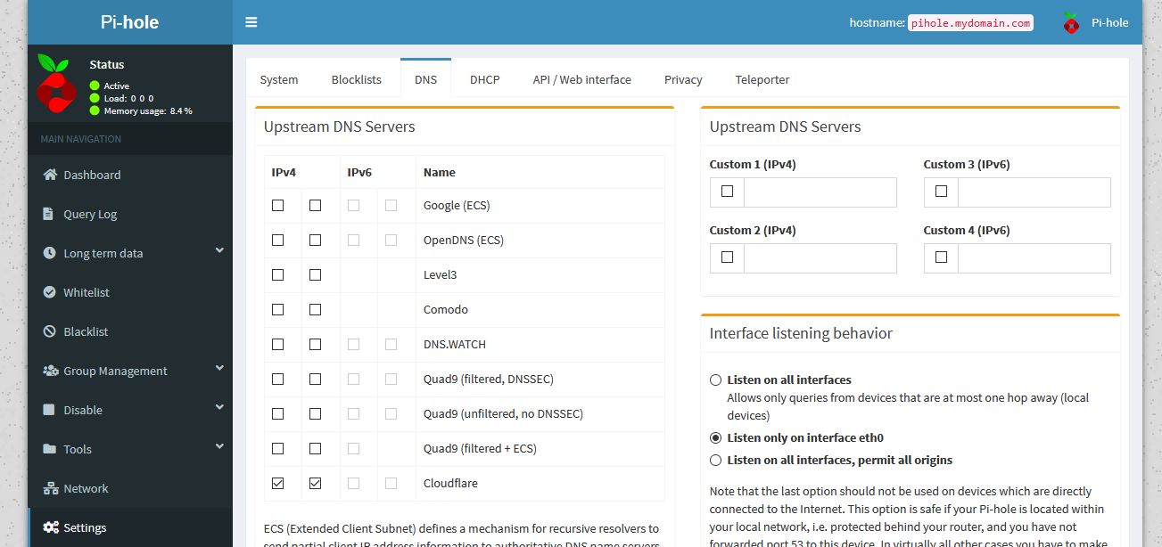 Pi-hole's DNS settings