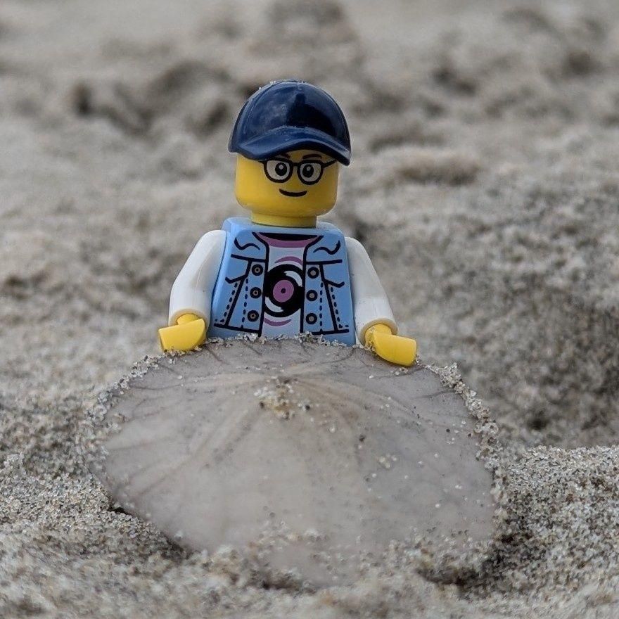 LEGO minifig holding a sand dollar on the beach.