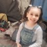 Amir Gaza 🍉🇵🇸